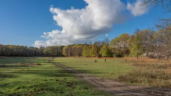 Volkspark Rehberge