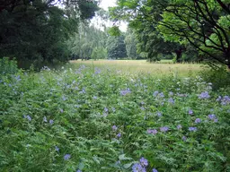 Großer Tiergarten