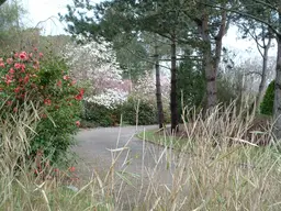 Parc de la Morinière