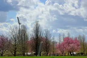 Parc Départemental des Hautes Bruyères