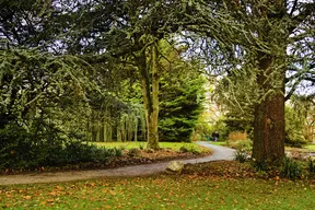 Jardin Botanique Alpin