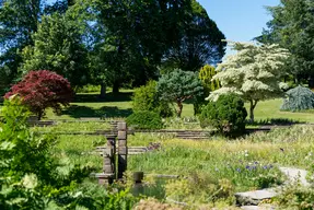 Parc floral de la Beaujoire - La Roseraie