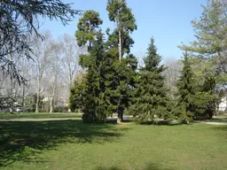 Parc Georges Bazin