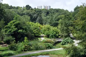 Vallon du Stangalar