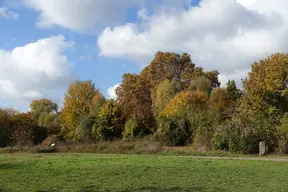 Parc de l'île Saint-Germain