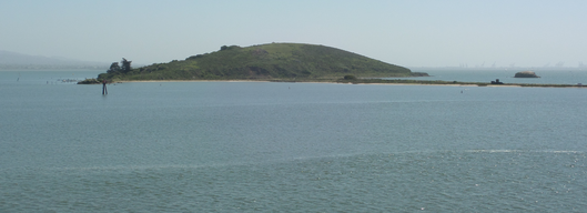 Brooks Island Regional Preserve