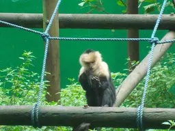 Parque Zoológico y Jardín Botánico Nacional Simón Bolívar