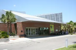 Florida Museum of Natural History