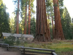 Mariposa Grove Museum