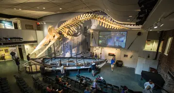 Nantucket Whaling Museum