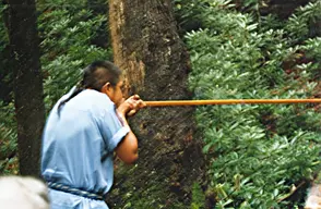 Oconaluftee Indian Village