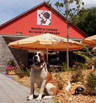 Barryland - Musée et Chiens du Saint-Bernard