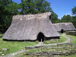 Vitlycke Museum