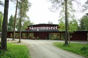 Skogsmuseet