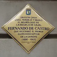 Fernando de Castro