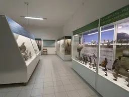 Museo ornitologico Luigi Scanagatta