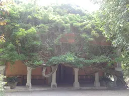 Museo Biblioteca Bicknell - Bordighera