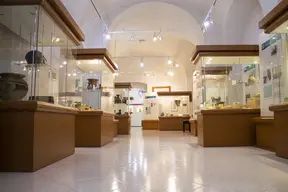 Museo Archeologico - Fondazione "De Palo-Ungaro"