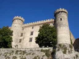 Museo storico-artistico Castello Odescalchi