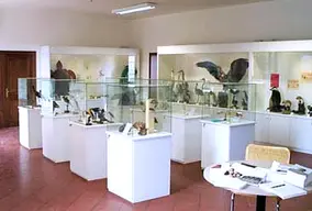 Museo di scienze naturali