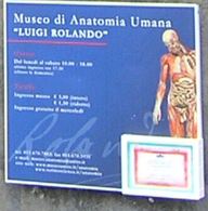 Museo di Anatomia Umana "Luigi Rolando"