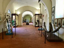 Museo di storia naturale dell'Università di Pisa