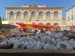 Musée des Beaux-Arts et d'Archéologie