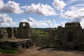 Narberth Castle