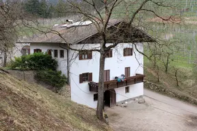 Zwingenburg - Castel Zwingenberg