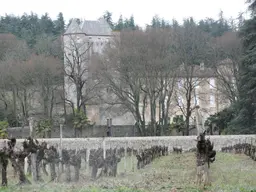 Château de Baumefort