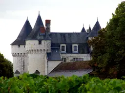 Château de Marçay