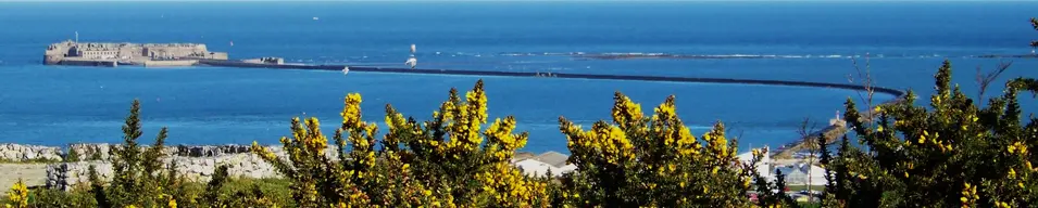 Fort de l'Île Pelée