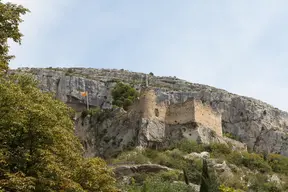 Château de Pétrarque