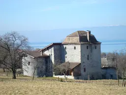 Maison forte de Chatillon