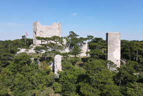 Burgruine Mödling