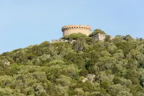 Tour de Campomoro et son enceinte fortifiée