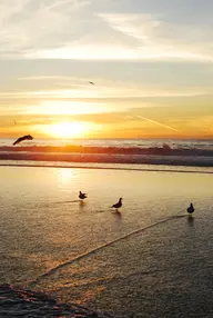 Torrance County Beach