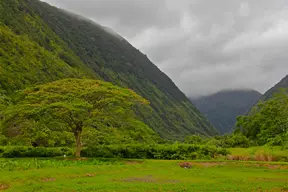 Waipio Beach