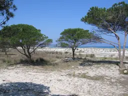 Spiaggia di Budoni