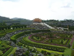 Nong nooch