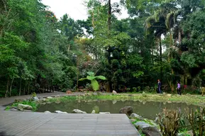 Chiayi Arboretum (Botanical Garden)