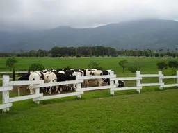 ChuLu Ranch