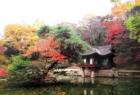 Changdeokgung Palace