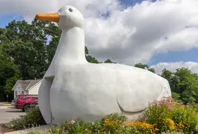 The Big Duck