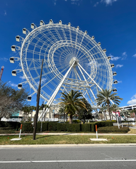 The Wheel at ICON Park