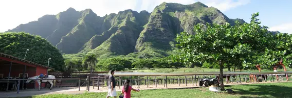 Kualoa Ranch