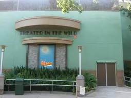 Theater In The Wild