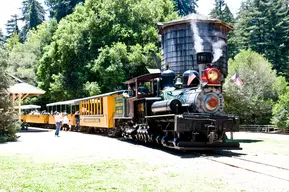 Roaring Camp Railroads