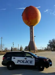 Peachoid