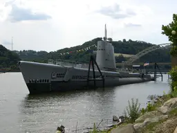 USS Requin